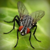 /album/bronseuriru/photolia-a01-jpg/