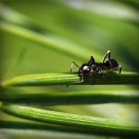 /album/bronseuriru/photolia-a05-jpg/