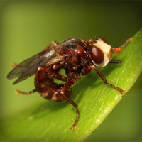 /album/bronseuriru/photolia-a06-jpg/