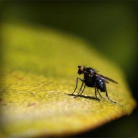 /album/bronseuriru/photolia-a07-jpg/