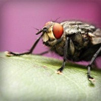 /album/bronseuriru/photolia-a08-jpg/